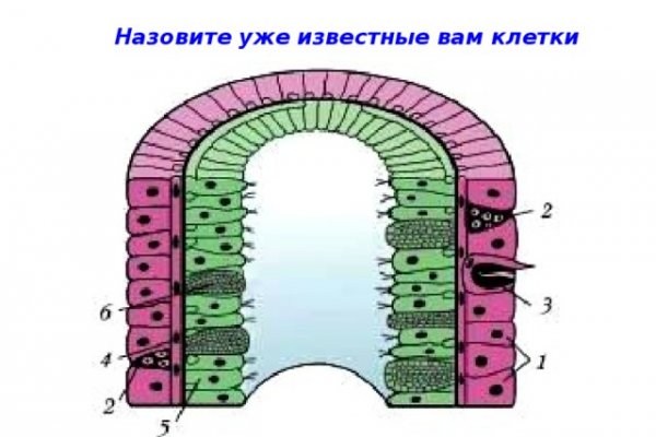 Сайт гидра магазин закладок москва