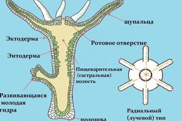 Кракен официальный сайт 2krnk cc