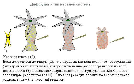 Кракен сайт kr2web in